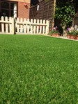Easi lawn artificial grass