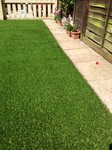 Lazy lawn needs no care