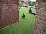 Perfect for dogs and pets